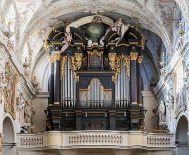 Organ