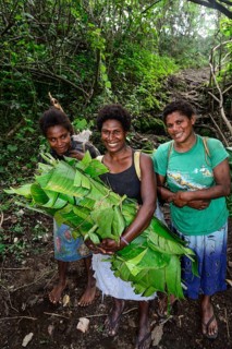 Native women with collected banana leaves