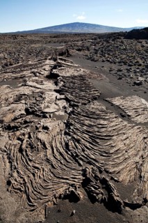 Solidified ropy lava