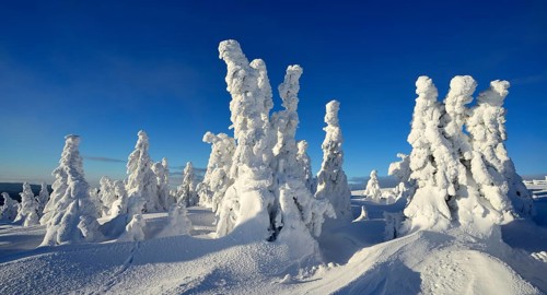 Winter on the Brocken