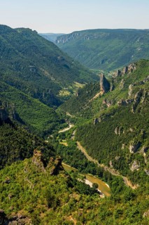 Gorges du Tarn