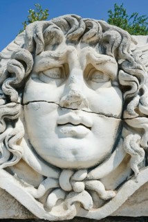 Medusa head