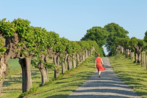 Woman in red dress walking on Feston avenue