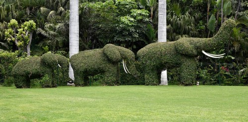 Topiary