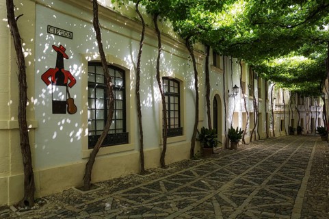 Calle Ciegos with trained vine and the Tio Pepe sherry plaque at the winery Bodega Gonzalez Byass