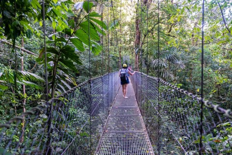Woman walking over suspension bridge