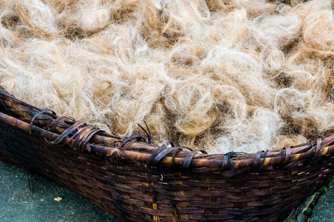 Raw sheep's wool in braided basket