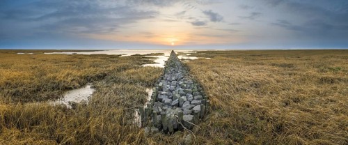 Groyne
