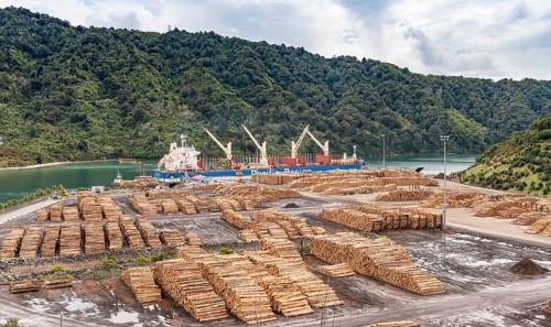 Wood stored in port