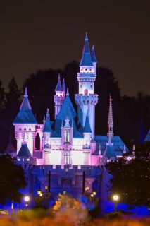 Sleeping Beauty Castle by night