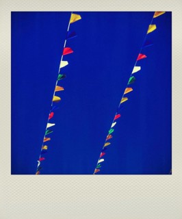 Polaroid effect of flags