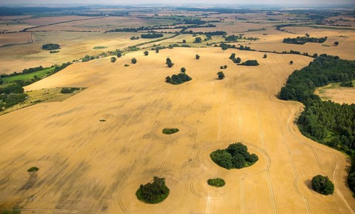 Agricultural landscape
