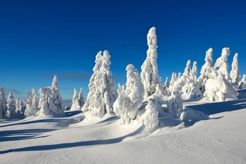 Winter on the Brocken