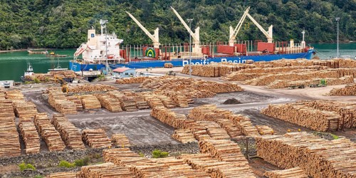 Wood stored in port