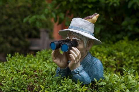 Human figure with bird on hat and binoculars looking over a hedge