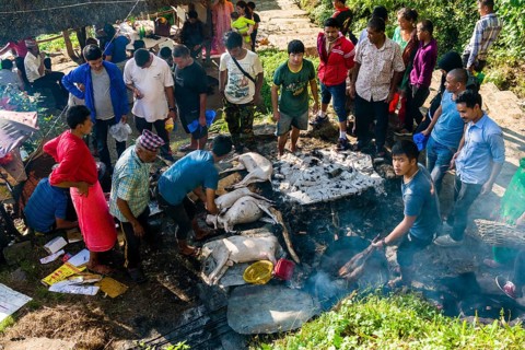 The corpses of dead goats
