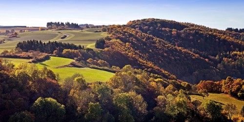 Autumn landscape