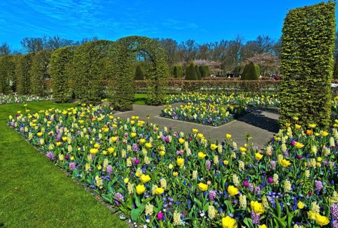 Colorful flower beds