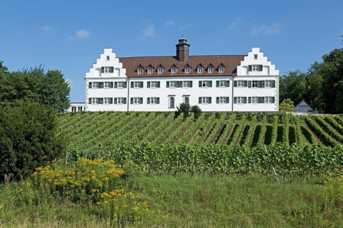 Schloss Hersberg with vineyard