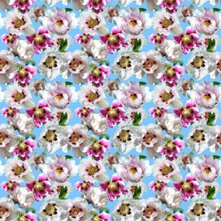 Wrapping paper