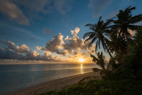 Sandy beach with palm trees at sunset