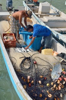 Fishermen sorting their catch in the boat