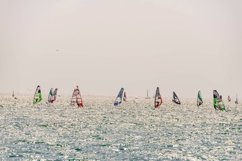 Many windsurfers with colourful sails