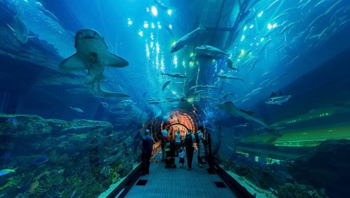 Underwater tunnels in the Dubai Aquarium and Underwater Zoo