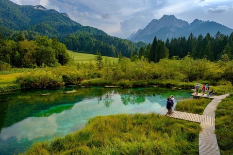 Sava Dolinka spring
