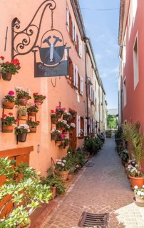 Narrow alleyway through houses decorated with flowers