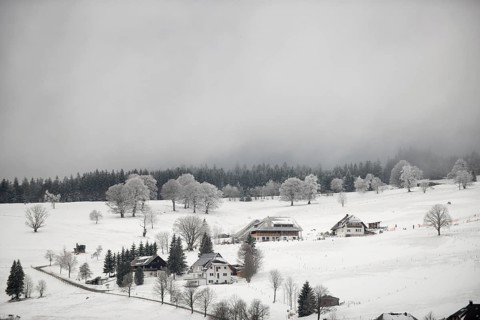 Black Forest houses in winter