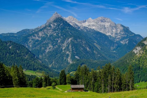 Big ox horn over the alpine pastures