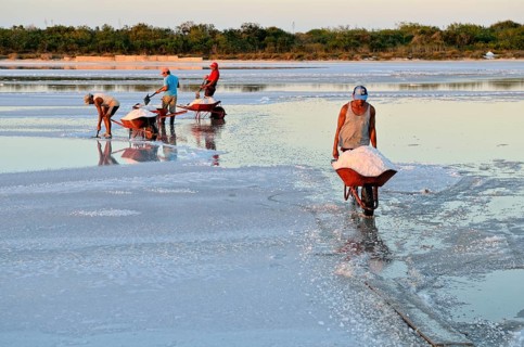Workers shoveling salt in wheelbarrow