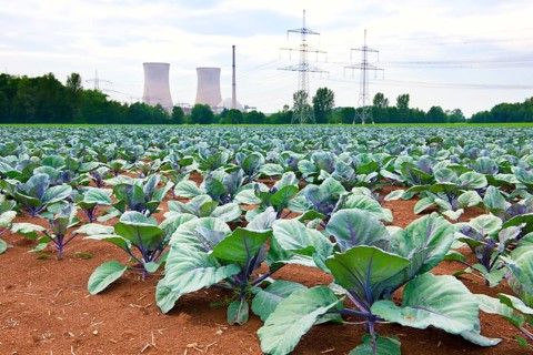 Grafenrheinfeld nuclear power station