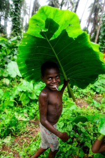 Child with large leaf as umbrella in the village of Rangsuksuk