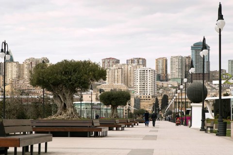 Fizuli Park