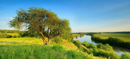 View of the river Saale
