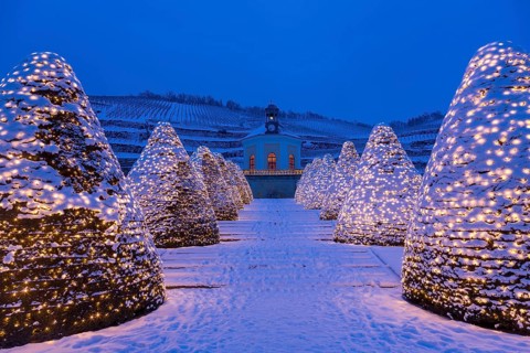 Belvedere Pavilion in winter in front of vineyards