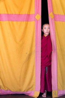 Young monk looking out from behind a curtain