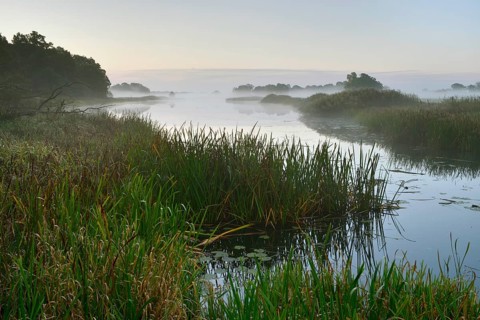 Foggy atmosphere at Leiner Lake