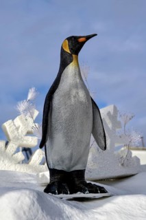 Penguin in winter landscape
