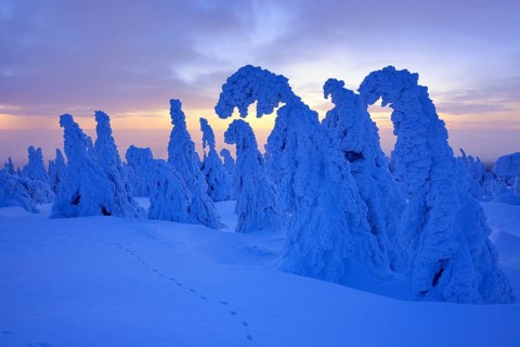 Morning atmosphere on the Brocken