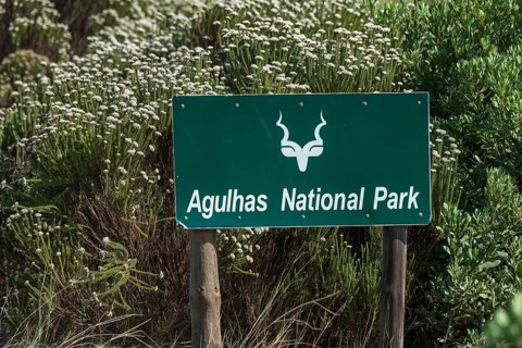 Agulhas National Park