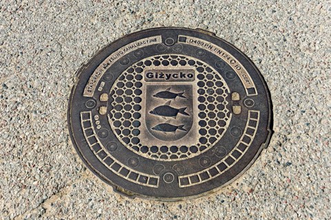 Gully cover