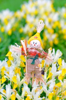 Garden decoration