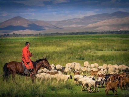 Nomad