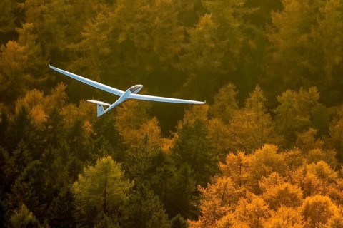 Glider