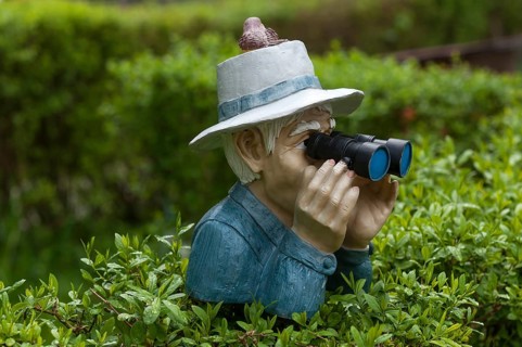 Human figure with hat and binoculars looking over a hedge