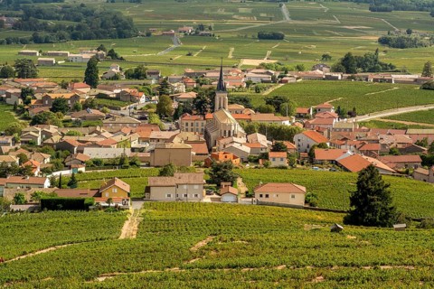 Fleurie village