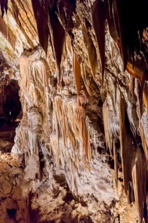 Caves of Postojna